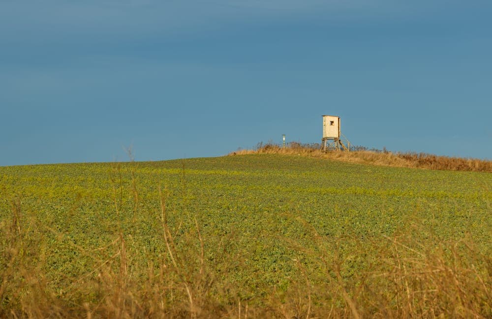 A wooden hunting tower overlooking a countryside field