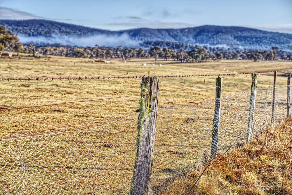 A barbed-wire fence across rural grassland with mountains behind